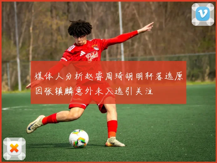 媒体人分析赵睿周琦胡明轩落选原因张镇麟意外未入选引关注